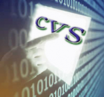 CVS АВТО (лицензия на 2 канала)