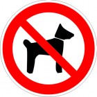 ЗнакПром Знак P14 Запрещается вход (проход) с животными (Пластик ФЭС-24 200х200х2 мм)